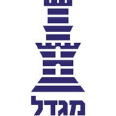 חברת מגדל