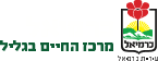 עיריית כרמיאל